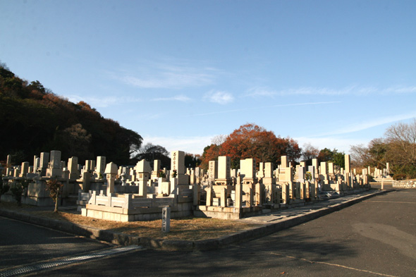 墓地全景